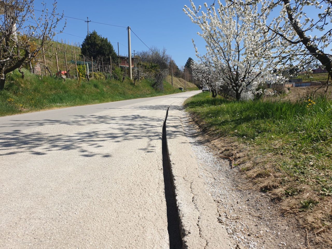 Gradnja omrežja v Plešivem, občina Brda.